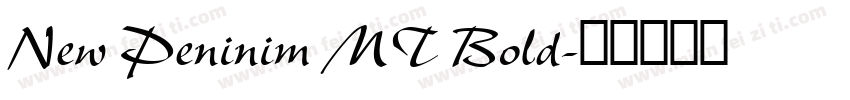 New Peninim MT Bold字体转换